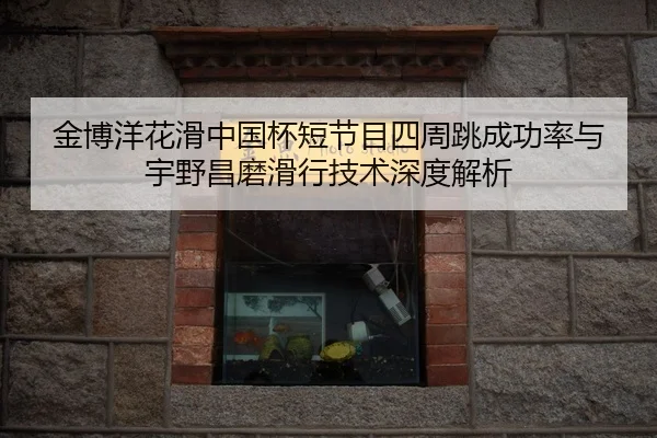jin-bo-yang-hua-hua-zhong-guo-bei-duan-jie-mu-si-zhou-tiao-cheng-gong-lv-yu-yu-ye-chang-mo-hua-xing-ji-shu-shen-du-jie-3-589.jpg