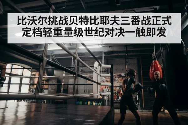 boxer training