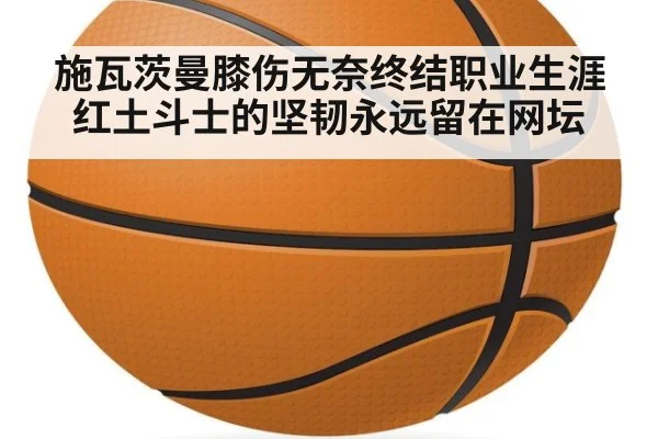 施瓦茨曼膝伤无奈终结职业生涯红土斗士的坚韧永远留在网坛
