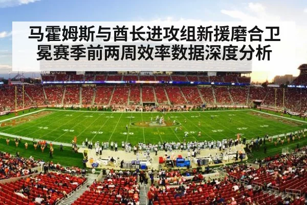 nfl football stadium game